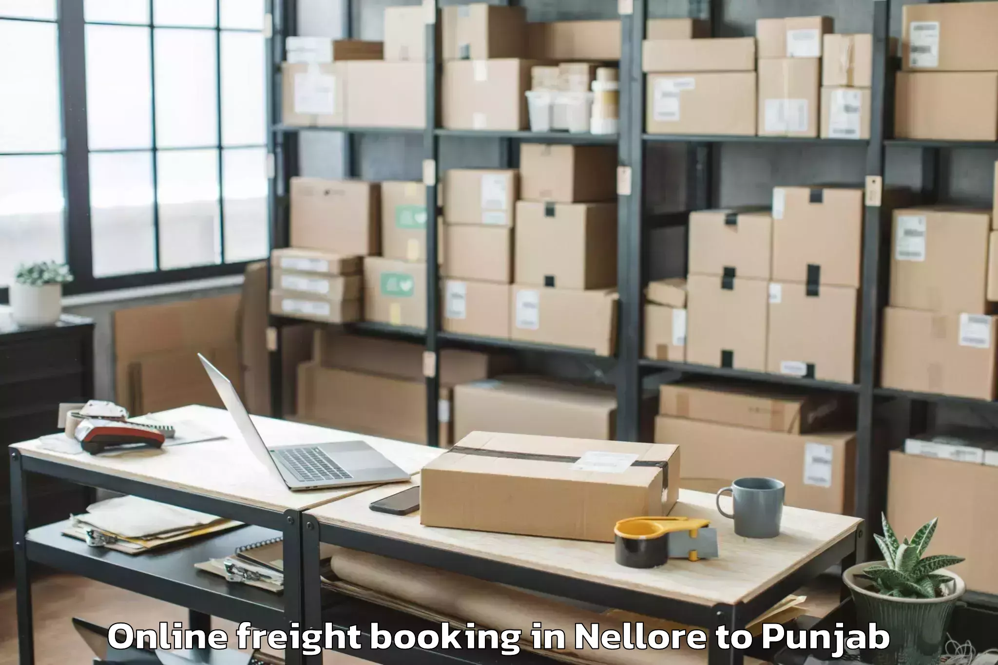 Trusted Nellore to Mukerian Online Freight Booking